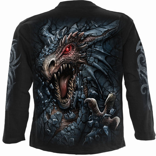 Langærmet T-shirt Spiral Dragon's Lair
