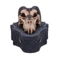 Indlæs billede i Gallery viewer, Skrin Dragon Skull Box (17.7cm) - Fatima.Dk