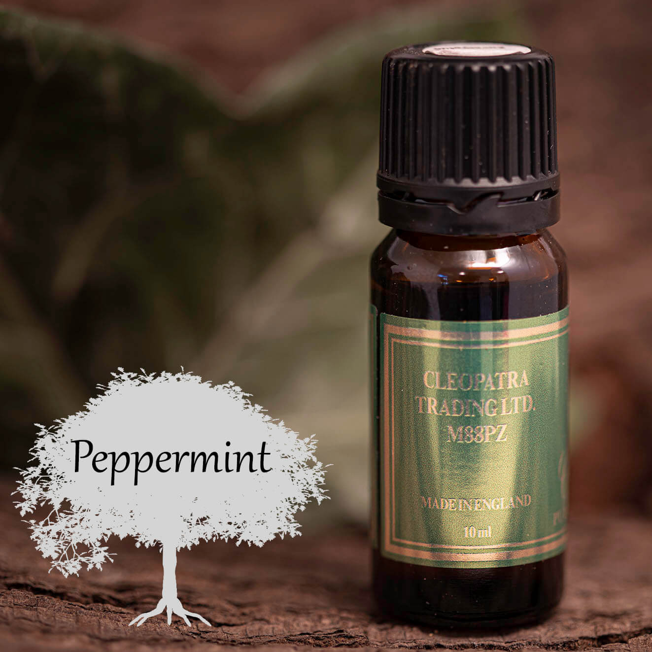 Æterisk Olie Peppermint (10ml) - Fatima.Dk