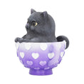 Indlæs billede i Gallery viewer, Figur Cutiecat (10,5cm) - Fatima.Dk