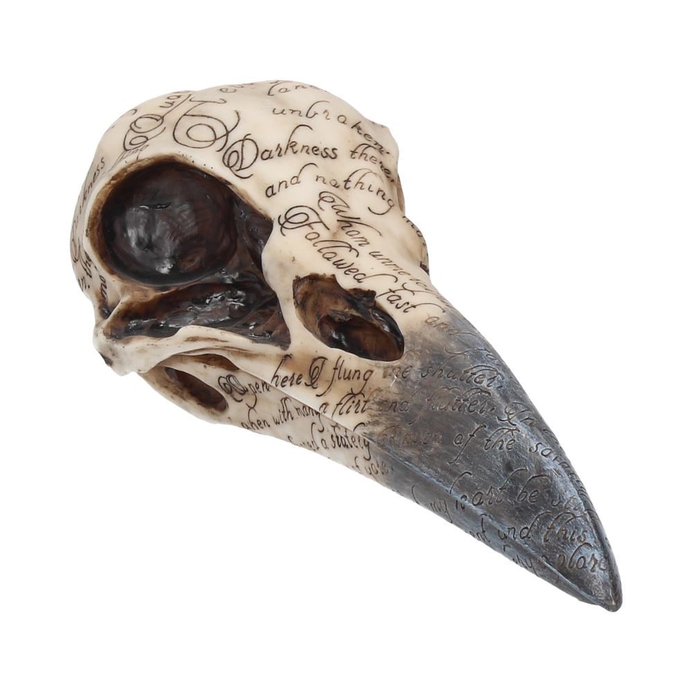 Kranie Edgar's Raven Skull (21cm)