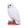 Indlæs billede i Gallery viewer, Figur Ugle Wizard's Familiar (10cm) - Fatima.Dk
