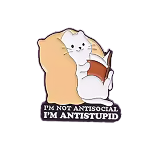 Pin Anti-Stupid