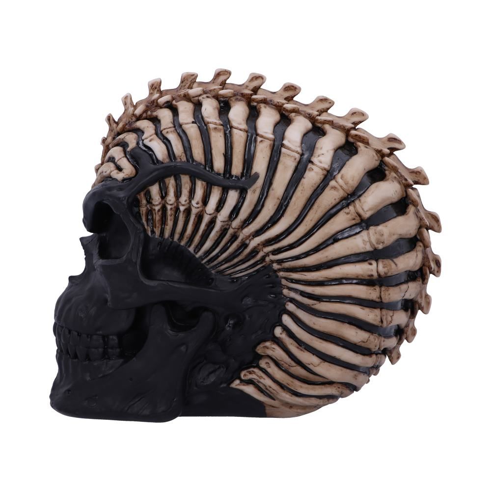 Figur Spine Head Skull Kranie (18.5cm)
