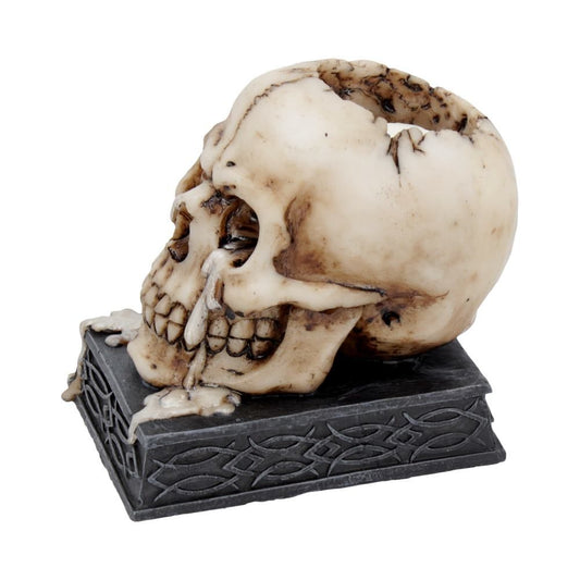 Figur Tears of Time Kranie (10cm) - Fatima.Dk